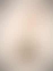 Daily Journal: 12 December