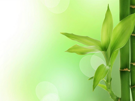 As 7 Verdades do Bambu