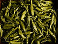 2023-07-06 14-37-37_edited_edited.jpg
