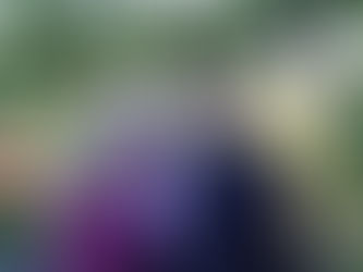 Employee of the Month: Jill Heitzer