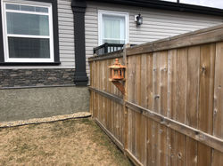 Inside view of fence