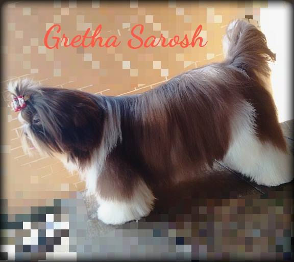 gretha.jpg