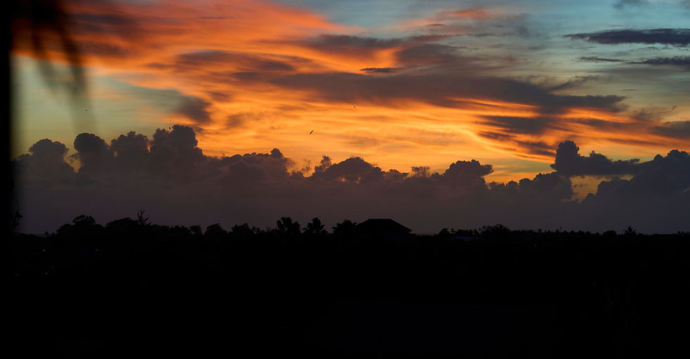 _DSC1711 - Copy_edited.jpg