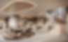 Living Room (320).png