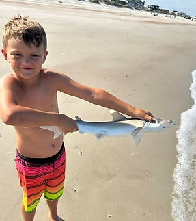 BEAU LADYFISH.jpg
