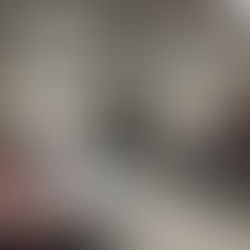 MAEDC NEWSLETTER | JUNE 2024