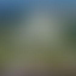 Aerial view of an industrial park and surrounding farmland in Randolph County, Missouri, with the Moberly Area Economic Development Corporation (MAEDC) logo prominently overlaid in white. Text reads: "MAEDC Announces Renewed Focus on Randolph County."