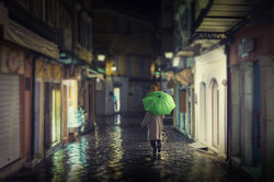 The Green Umbrella