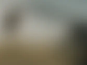 The Fall Guy