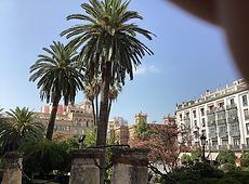 IMG_0226.jpg