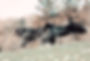 20230530_213227.jpg