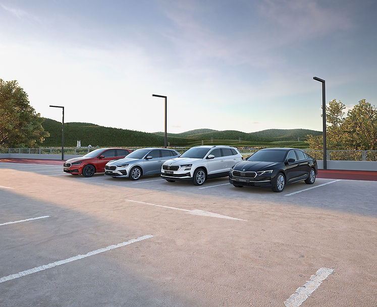 Skoda_Range_Joy_130_1000x600.jpg