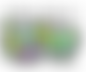 R.A.S.I. partner di Rock Targato Italia 2023