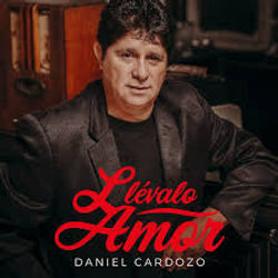 descarga