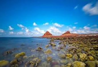 socotra