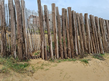 ganivelles en protect.jpg