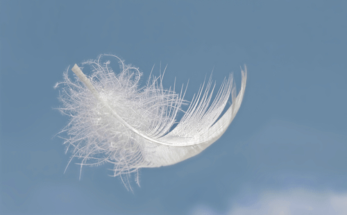 Your Gentle Spirit