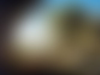 Let Us Meet With God In The Garden Today