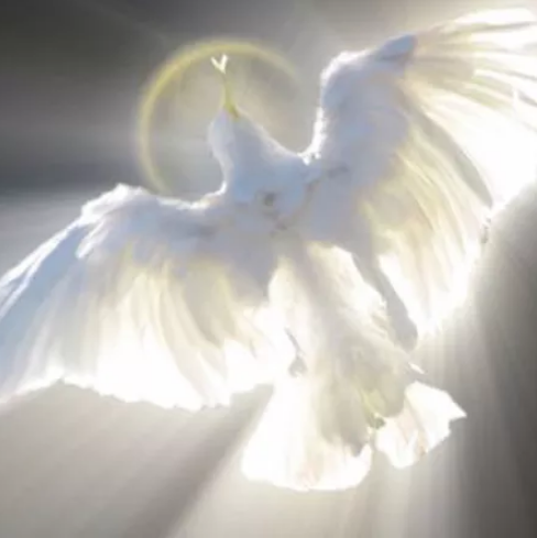 Living With Our God In A “Most Holy Place”