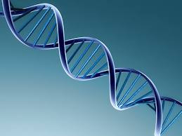 Is Epigenetics the future of medicine?