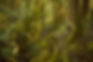 AUM_0588.jpg