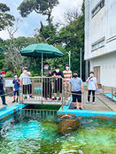 修学旅行