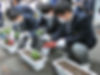 フラワー会