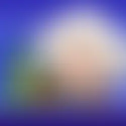 Compete with the Majors with Salesforce AI Einstein for SMB’s