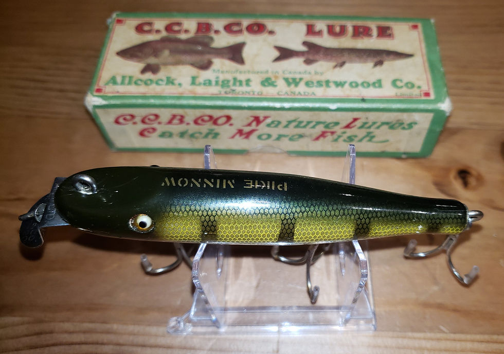 Creek Chub Pikie AL&W