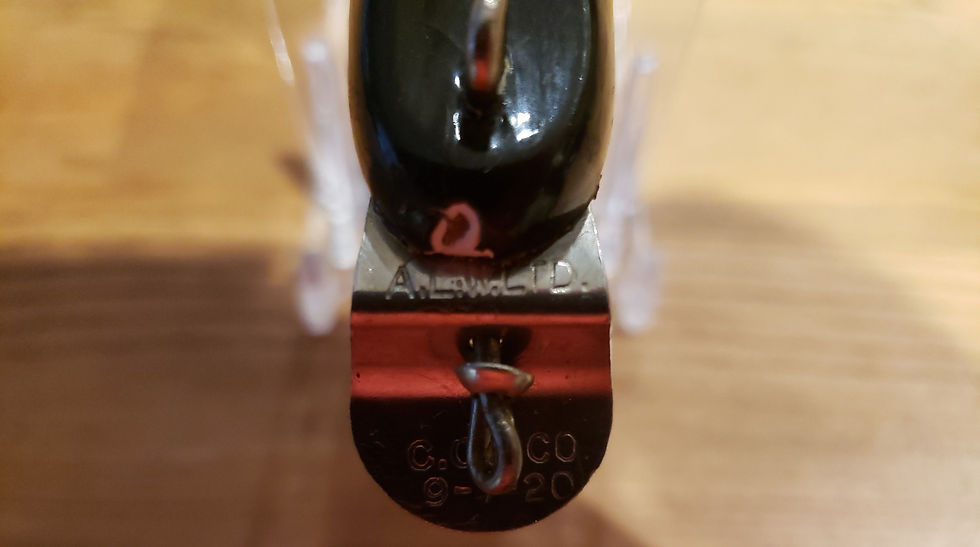 Creek Chub Pikie AL&W