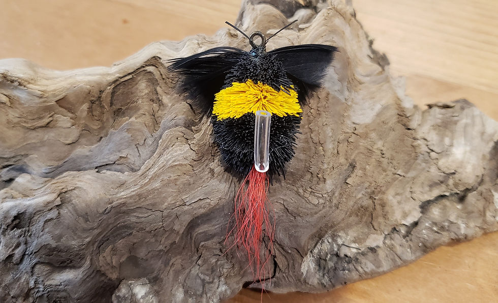 PeckinpaughTeaserTrout