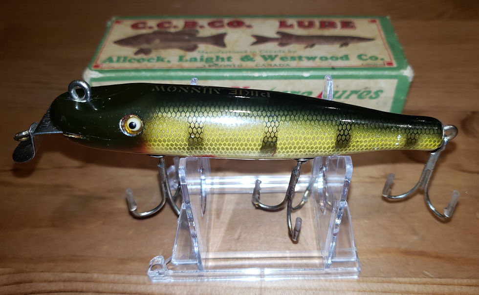 Creek Chub Pikie AL&W