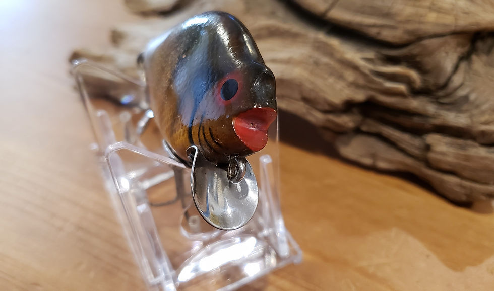 Heddon740ROB