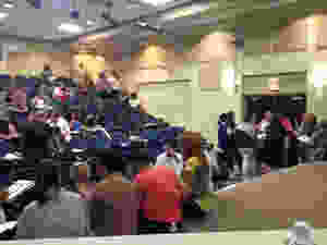 image.jpeg