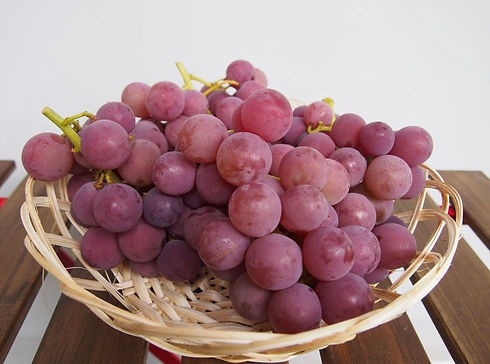 S__203046916.jpg
