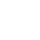 Squirrel.png