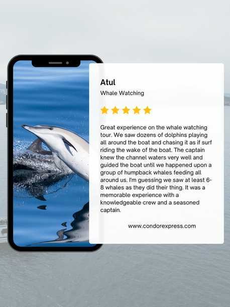 Atul's 5-star Whale Watching Review on the Condor Express Santa Barbara