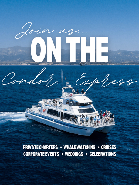 Condor Express. whale watching. private charters. wedding venue. corporate event venue. sunset cruises. in Santa Barbara, california.