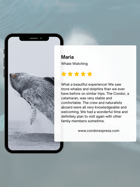 Maria's 5-star Whale Watching Review on the Condor Express Santa Barbara