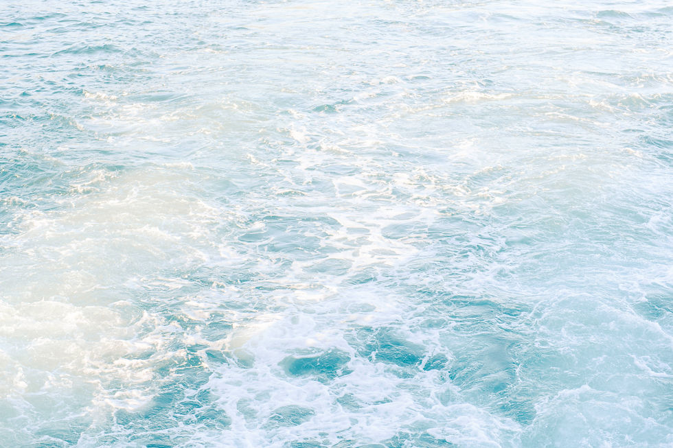 ©GraceKathryn_20251016_SBWSCondorMixer_0163_High-Res.jpg