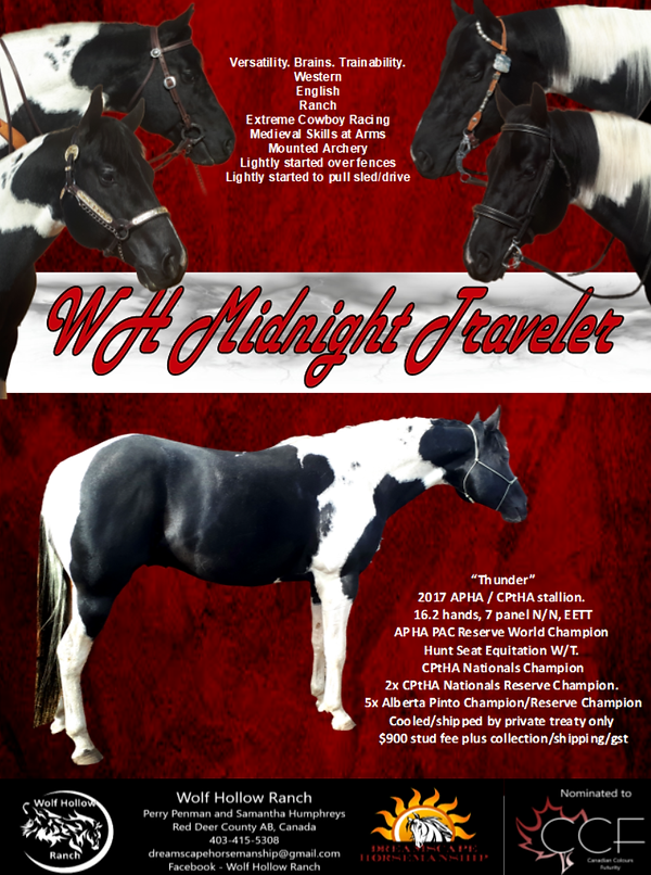 thunder 2024 stud ad dark red.png