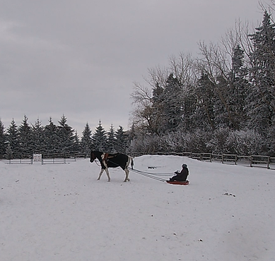 thunder sled 4.png