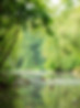 scenic-canal-with-lush-green-foliage-on-each-side-2026-03-18-16-09-51-utc.jpg