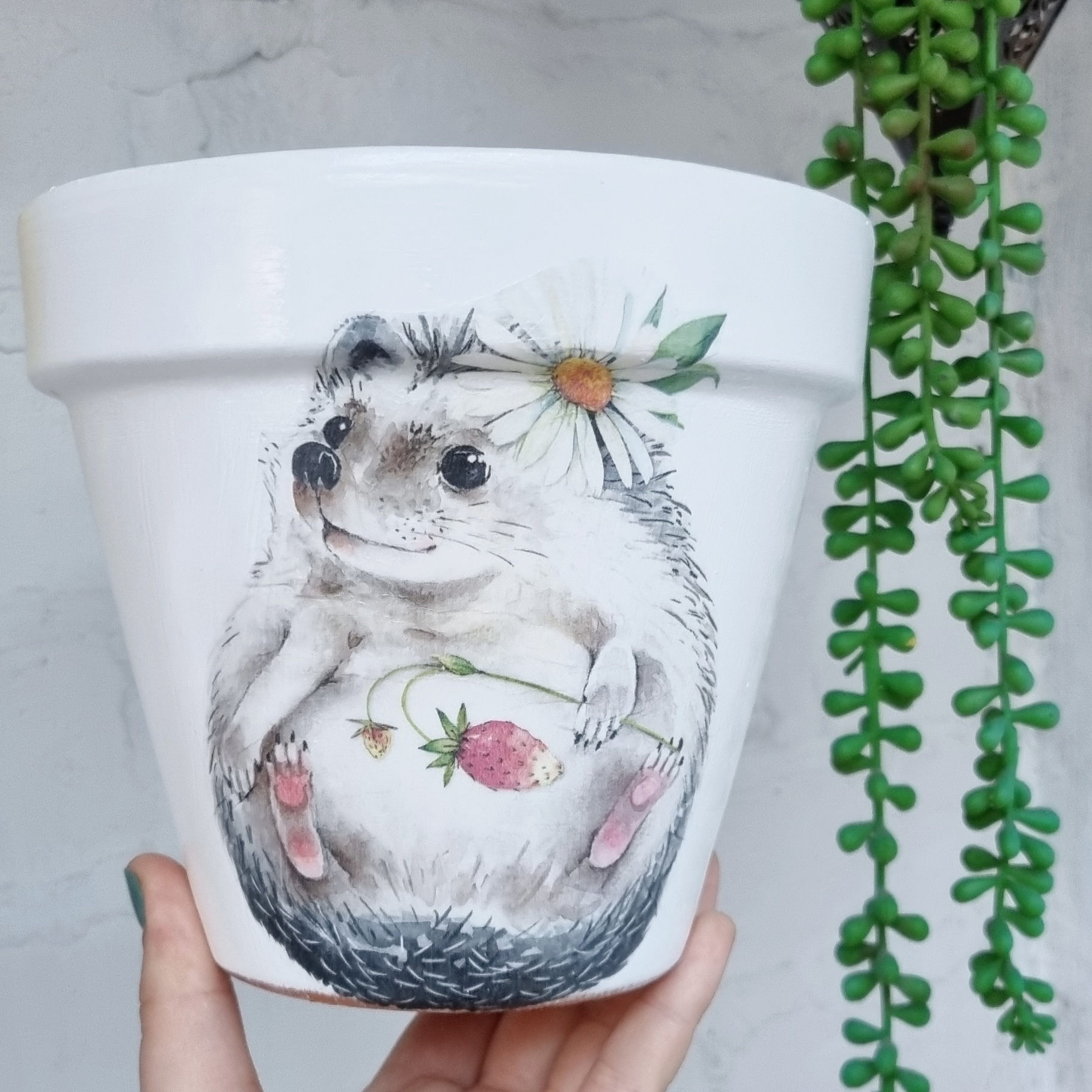  Hedgehog plant pot