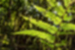 AdobeStock_443308249.jpeg