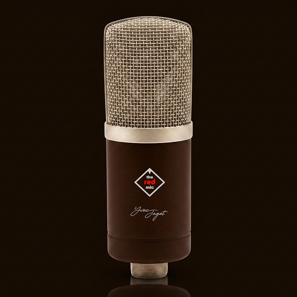 the RED mic- Def vers GIMP #1.png