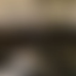 Alepe discute regulamentação da Cannabis Medicinal