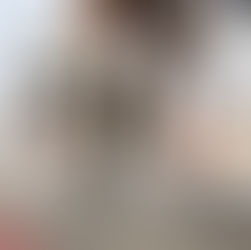 Após crise, bicicletas ganham mais espaço nas ruas do Recife