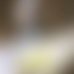 Nova variante da gripe aviária preocupa comércio no Recife