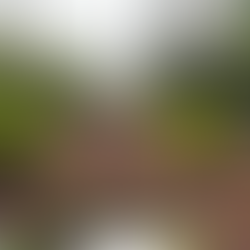 Rua da Aurora: excesso de eventos causa revolta à população